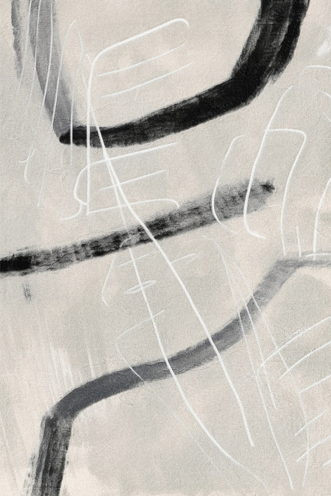 Dynamic Abstract Curves | Poster