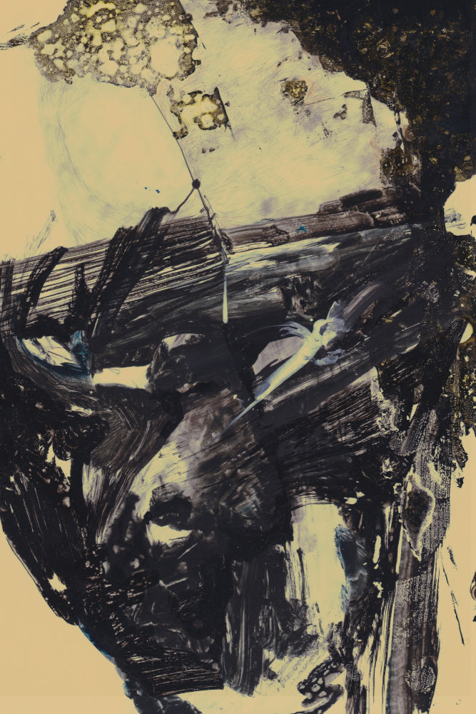 Polar | Canvas