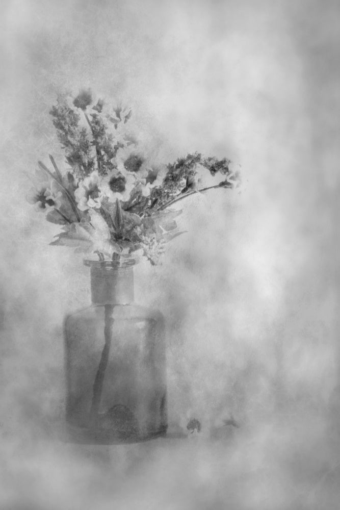 Dreamy Black and White Flowers | Poster