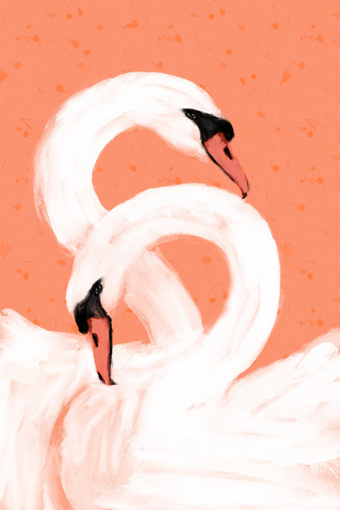 Graceful Swans | Canvas
