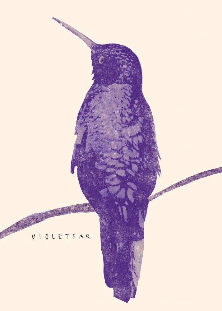 Elegant Violet Hummingbird | Poster