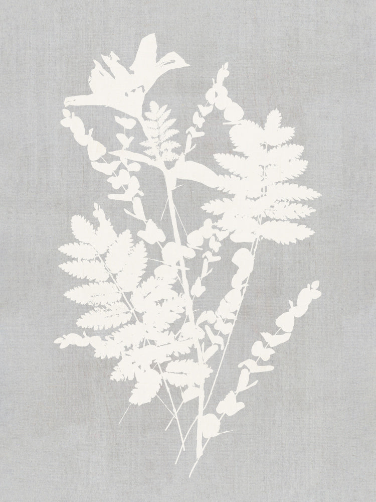 Botanical Silhouette Study | Canvas