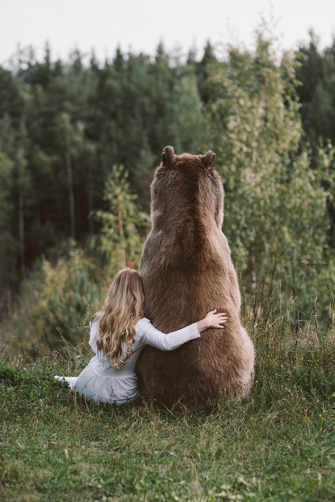 Peaceful Forest Embrace | Canvas