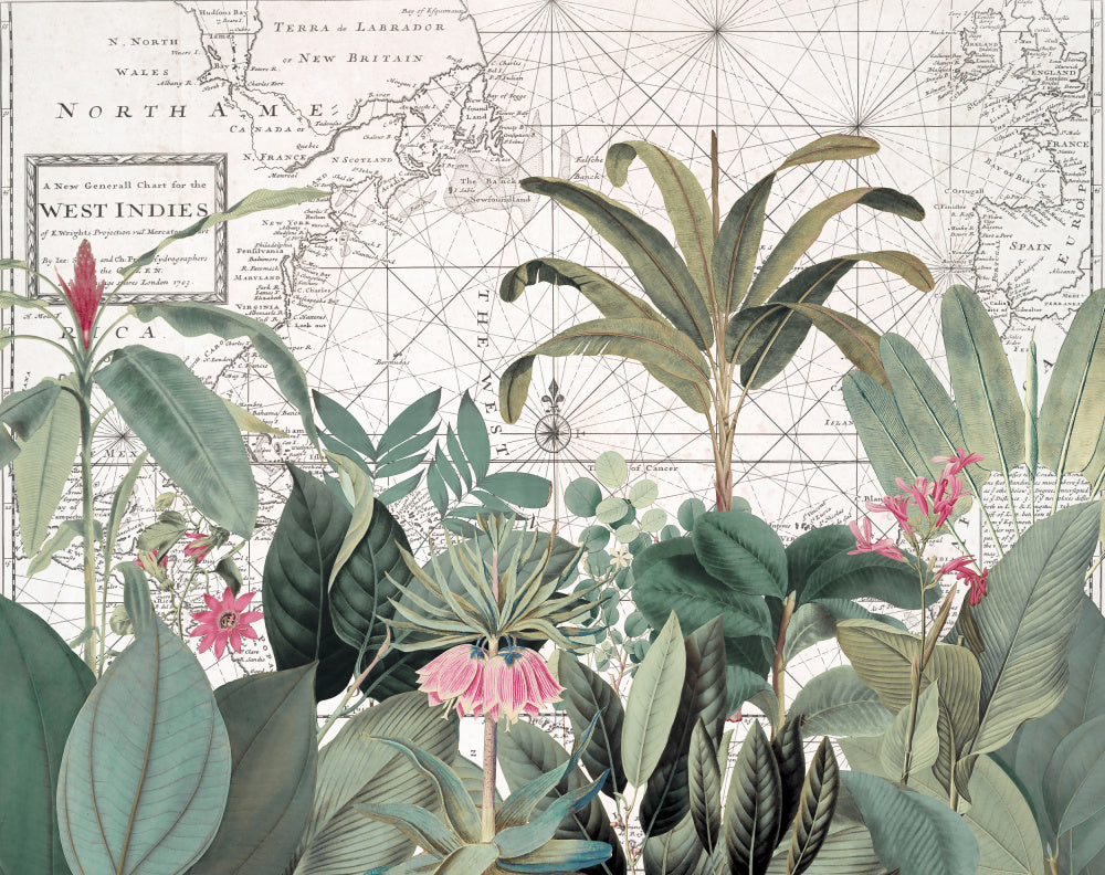 Vintage Map Botanicals | Canvas