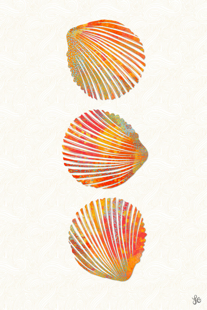 Vibrant Seashells | Poster