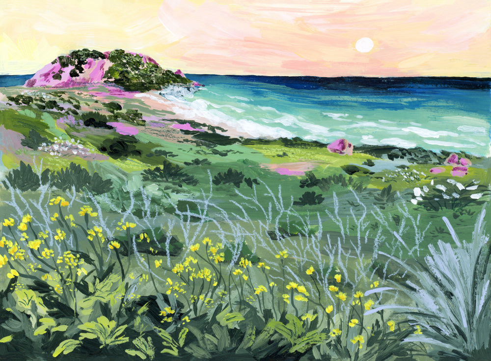 Wild Coast Sunset | Poster