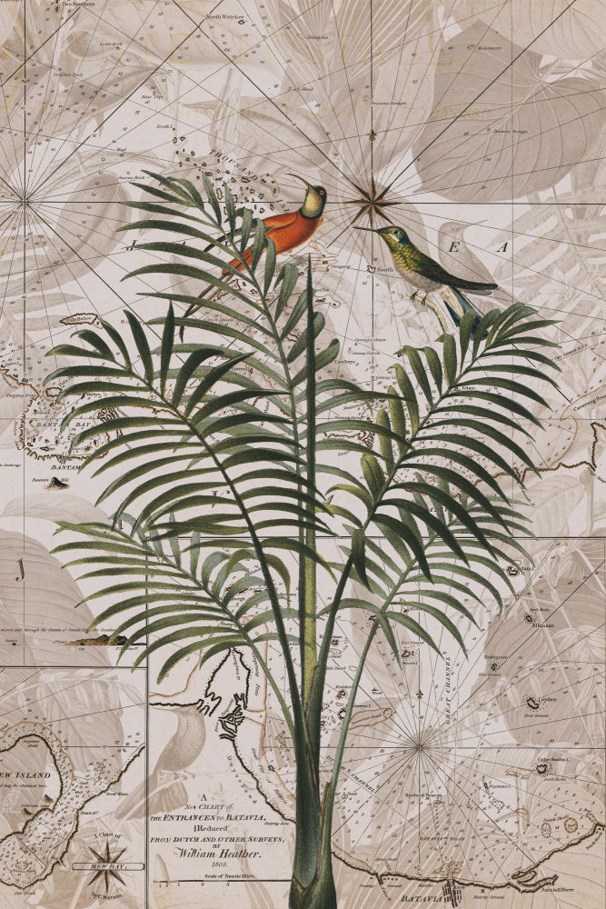 Tropical Birds on Vintage Map | Canvas