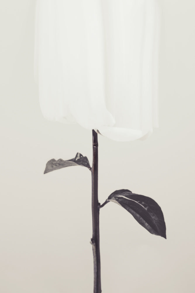 Ethereal Fabric Flower | Canvas