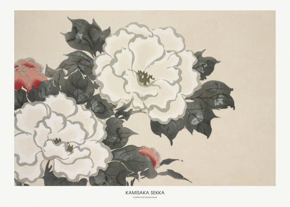 Flowers From Momoyogusa | Poster