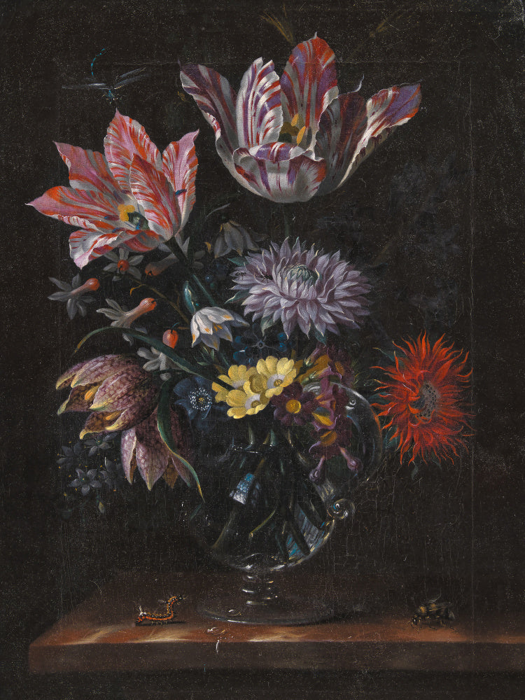 Unknown By Jacob Marrel | Canvas