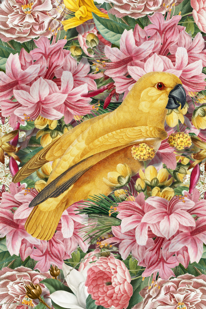 Yellow Parrot Tropical Flowers | Poster