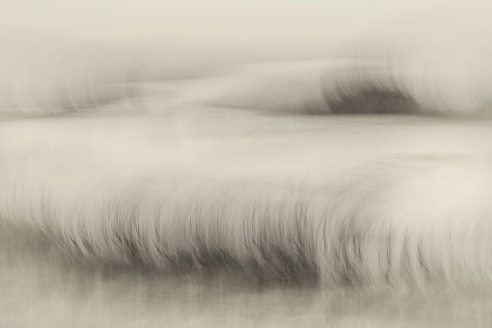 Waterside | Canvas