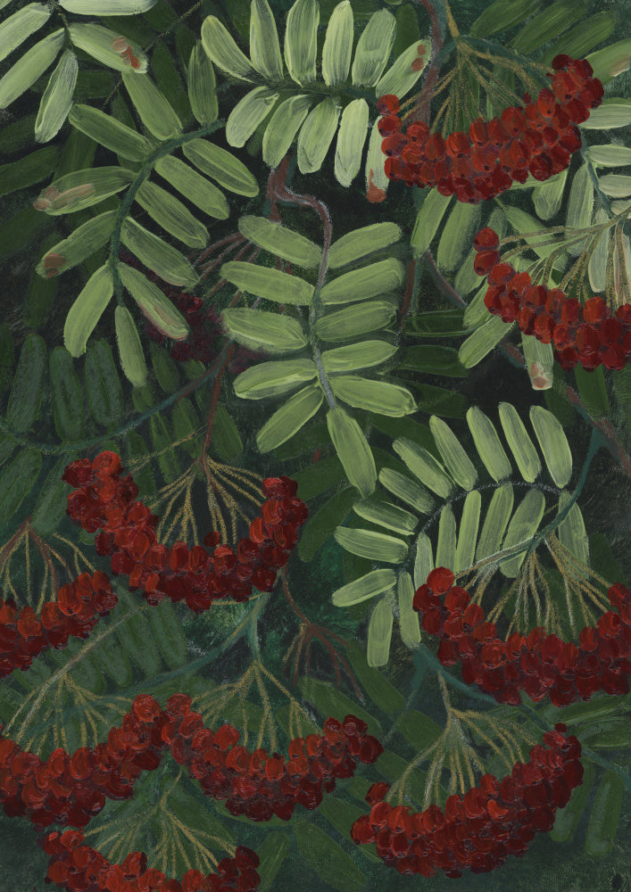 Vibrant Rowan Berries | Poster