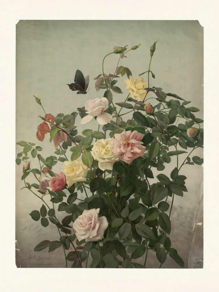Roses | Poster