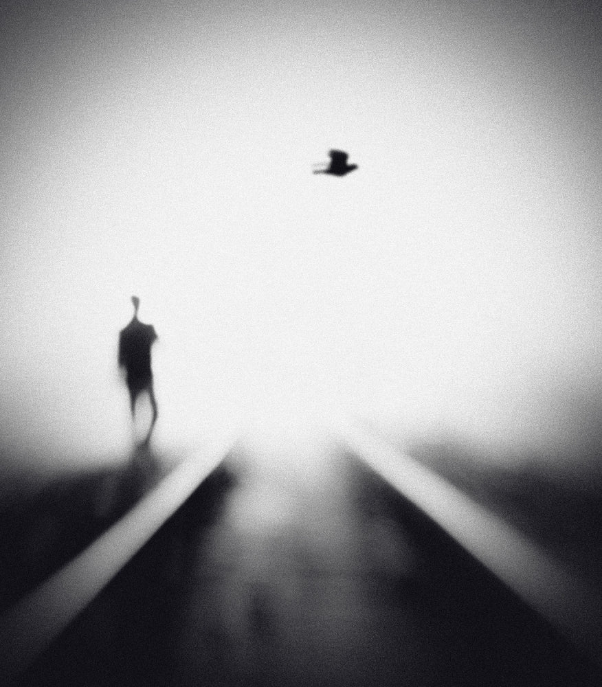 Solitary Man Flying Bird | Canvas
