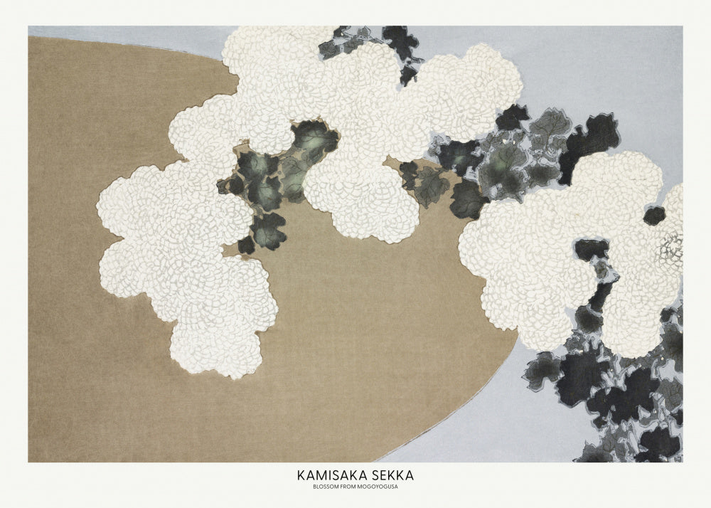 Blossom From Momoyogusa | Poster