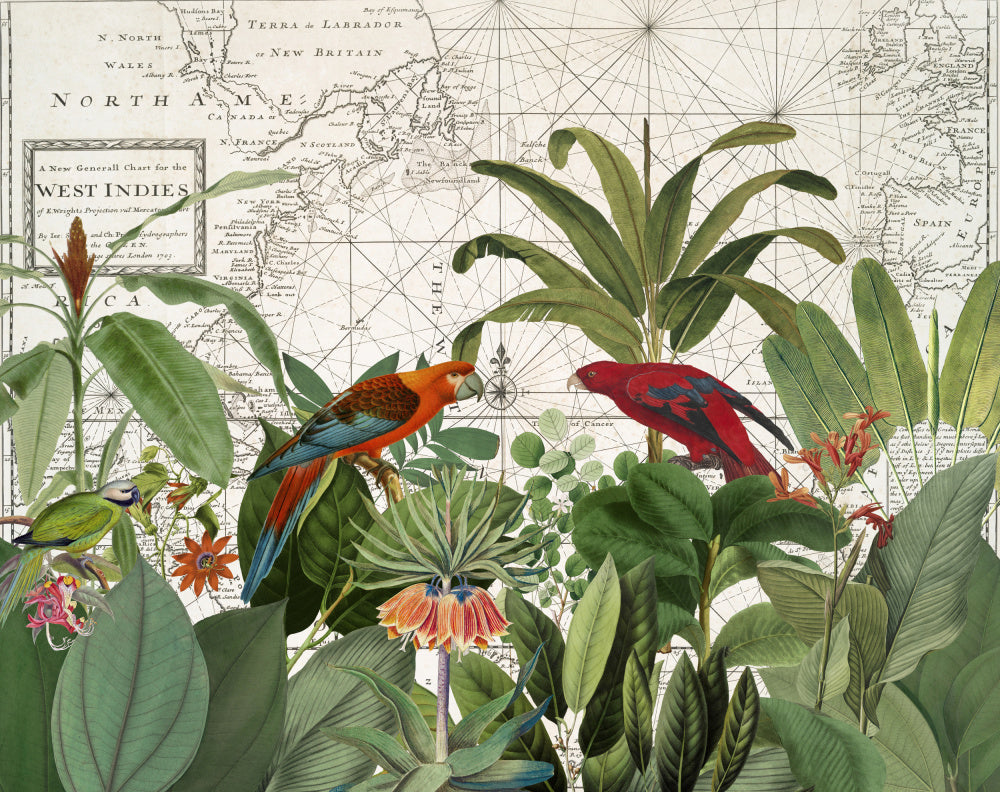 Tropical Map Exploration | Poster