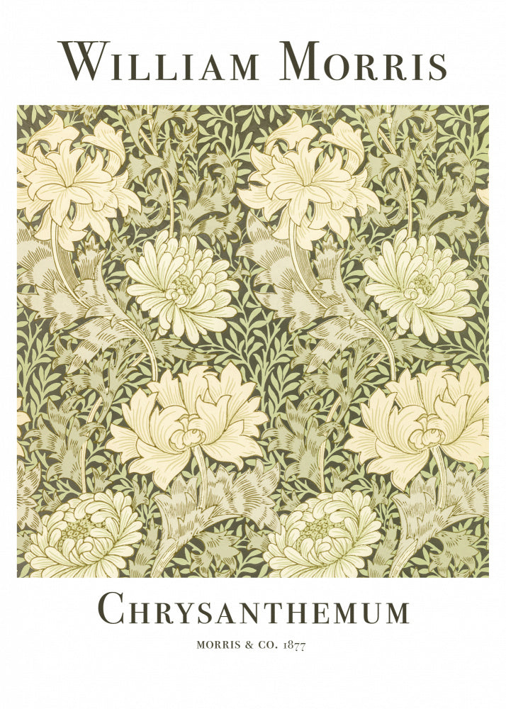 Chrysanthemum | Poster