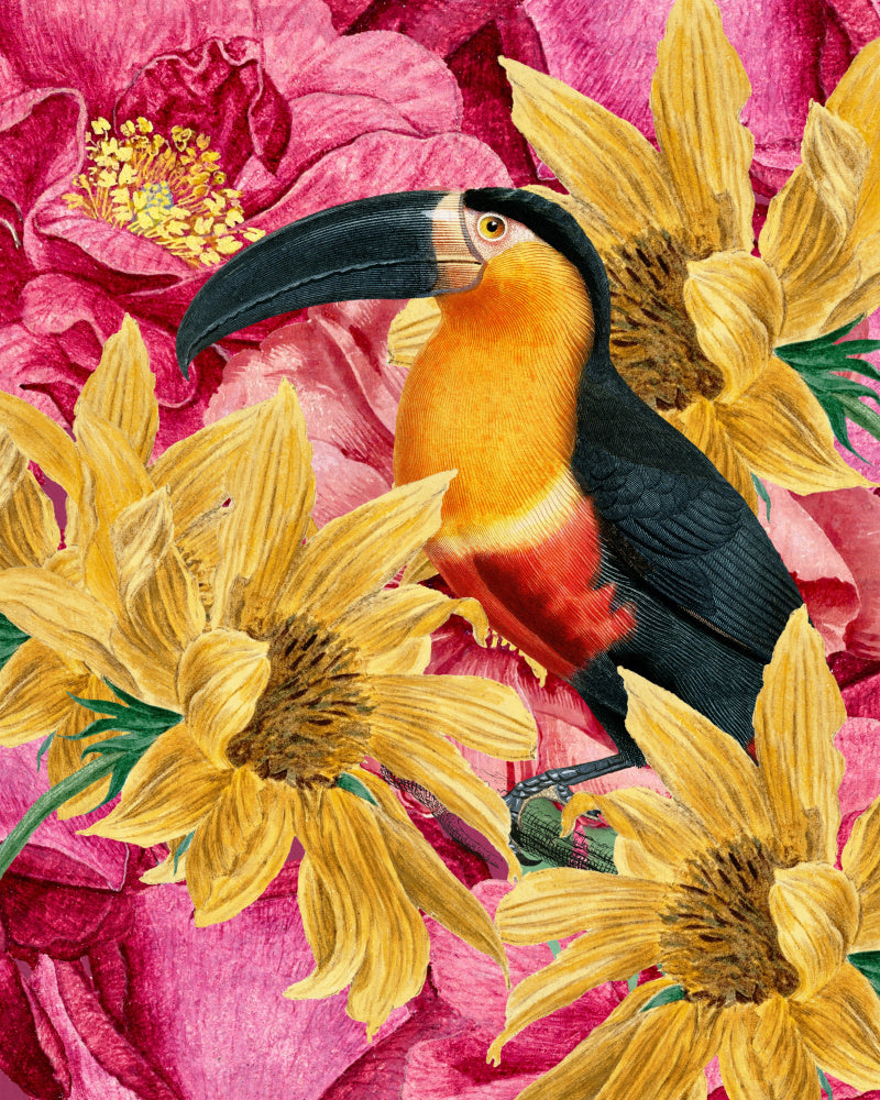 Vibrant Toucan and Flowers | Poster