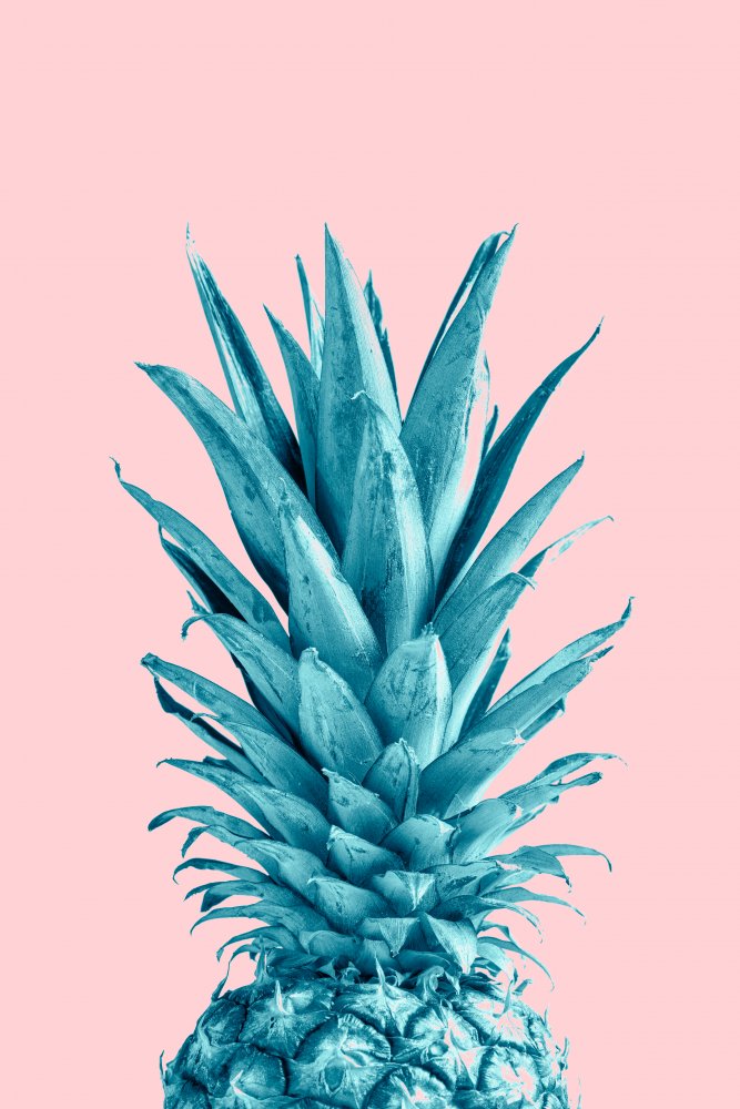 Vibrant Blue Pineapple | Canvas