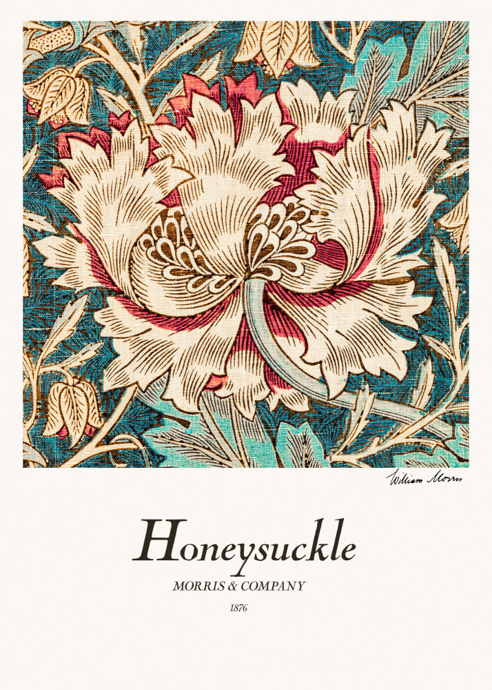 Honeysuckle | Poster