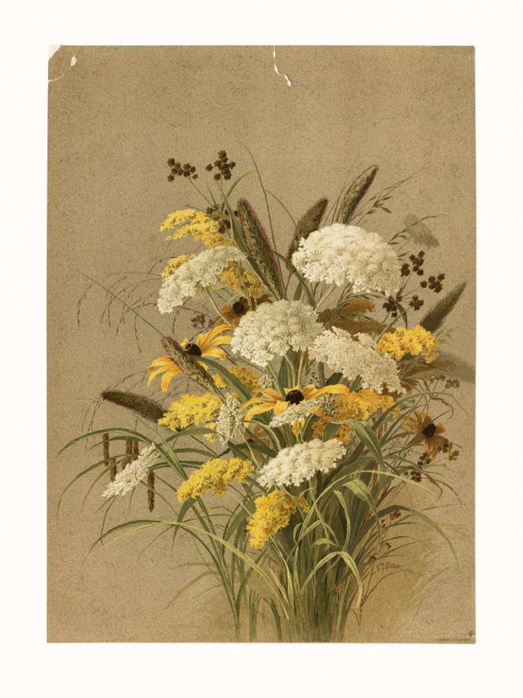 Hemlock, Ox Eye Grasses and Golden Rod | Poster