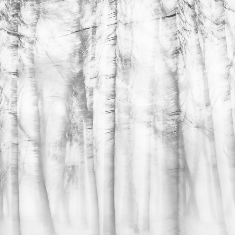 Ethereal Tree Lines | Poster