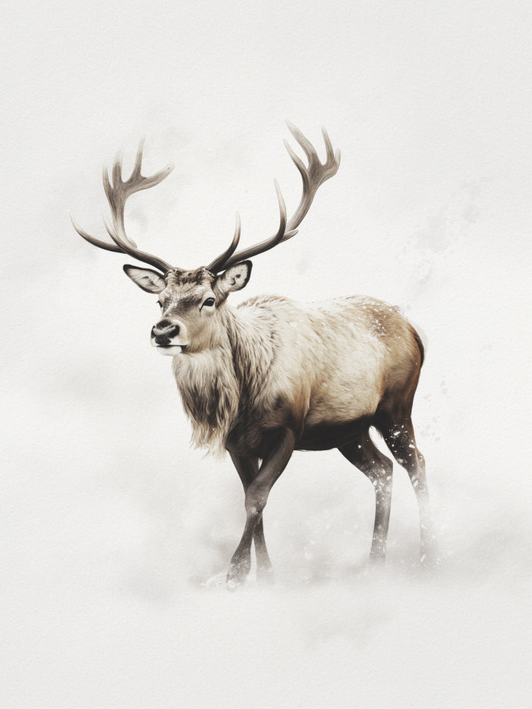 Reindeer In Snow | Poster