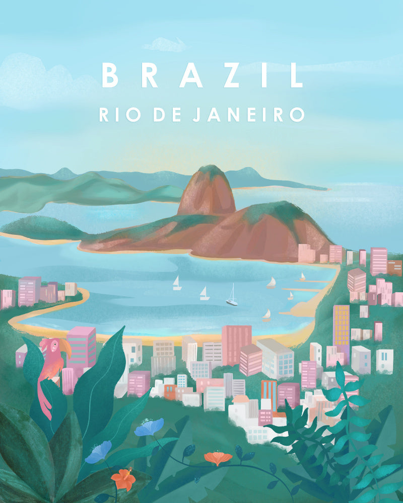 Brazil | Canvas