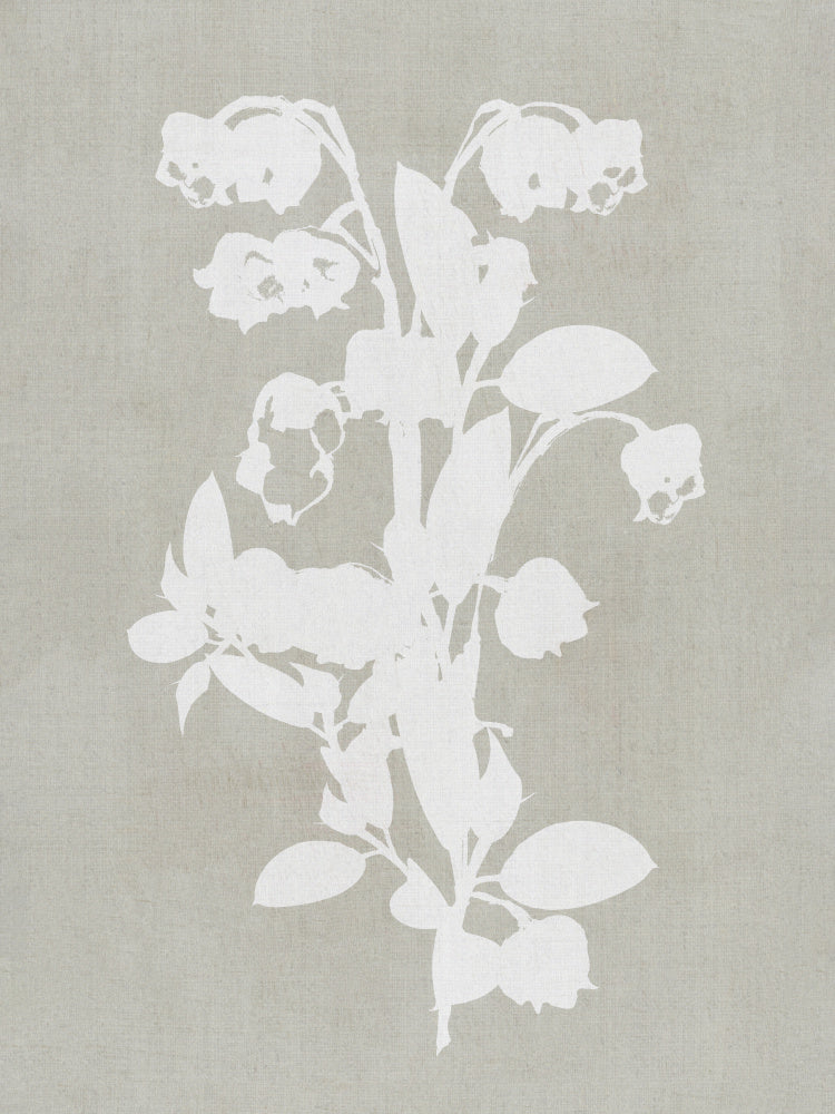 White Botanical Blooms | Poster