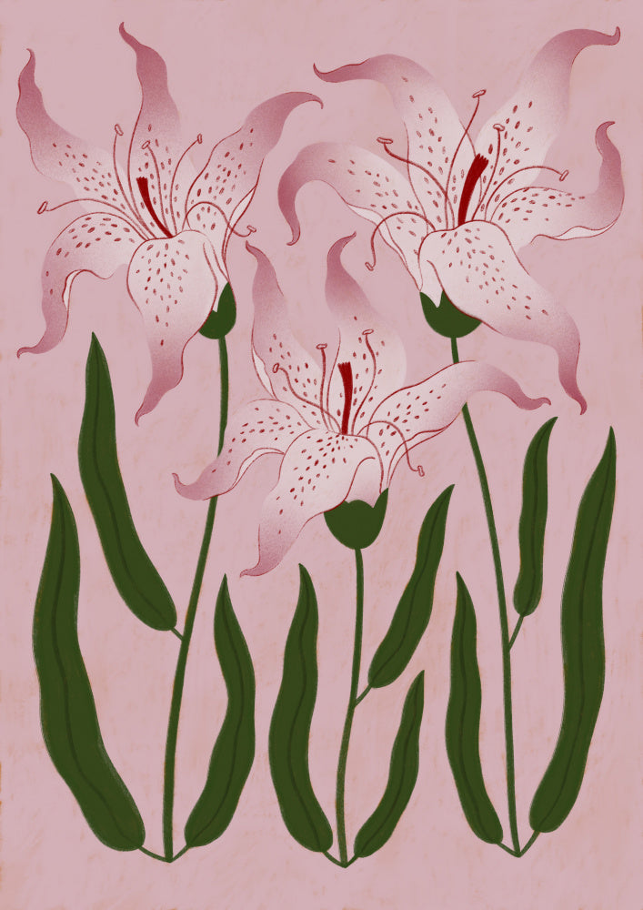 Botanical Pink Lilies | Poster