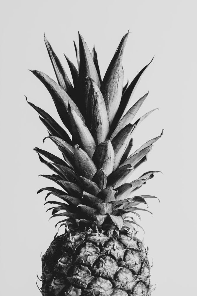 Black and White Pineapple | Canvas