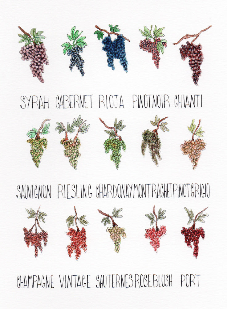 Wine Grape Varieties | Poster
