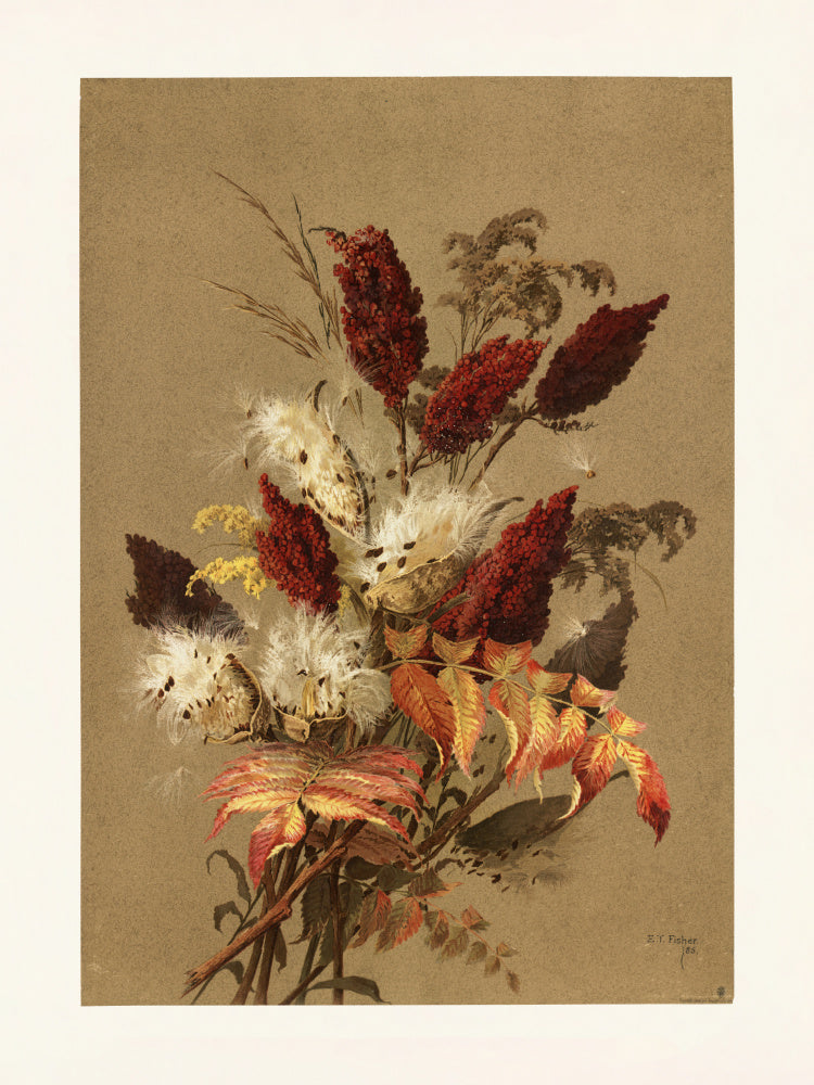 Sumac and Milkweed By Ellen Thayer Fisher | Poster