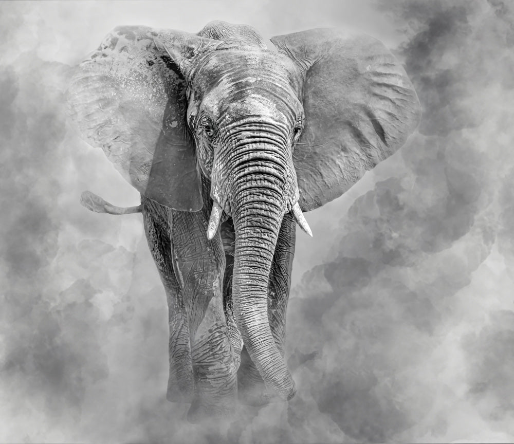 Majestic Elephant Dust | Canvas
