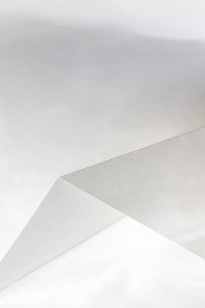 Paper Studies 19 | Canvas