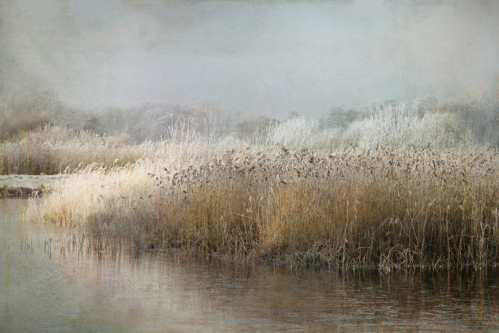Wintermorning | Poster