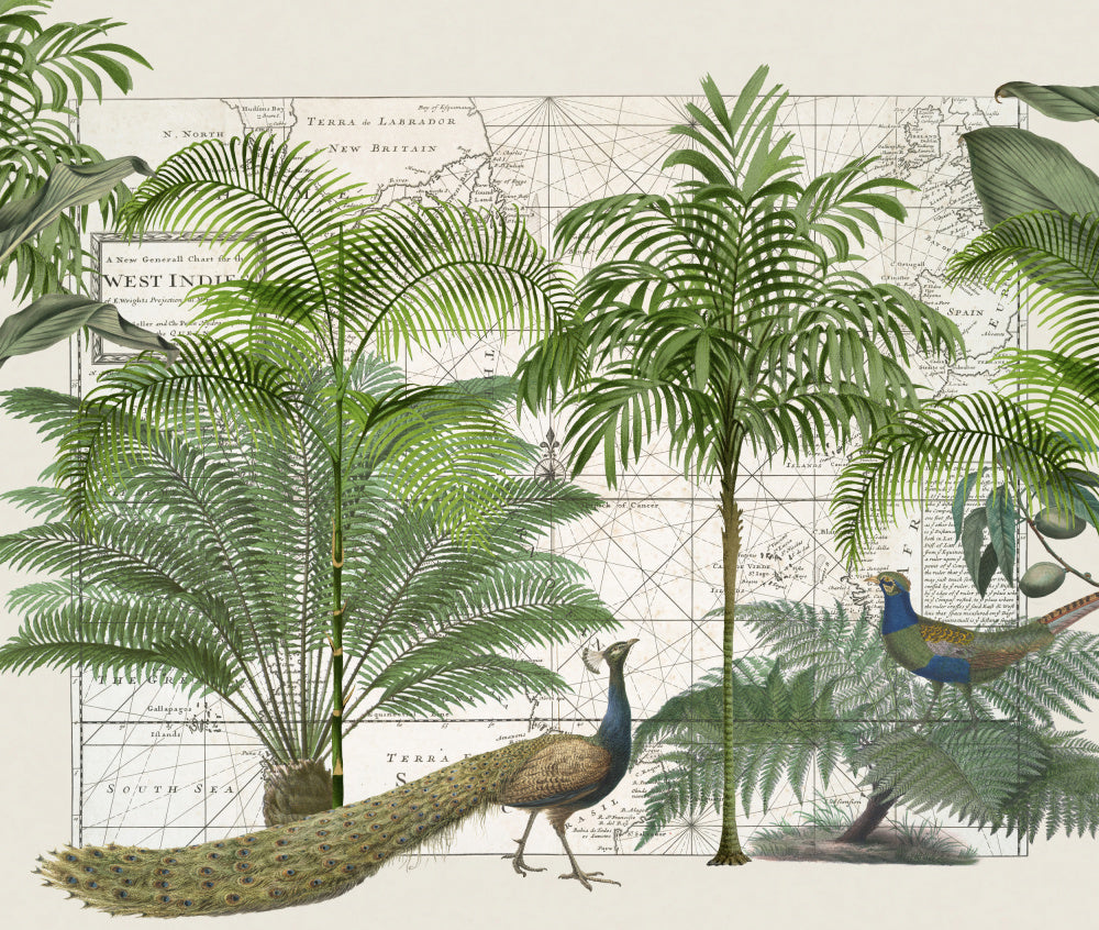 Tropical Map Wildlife | Canvas
