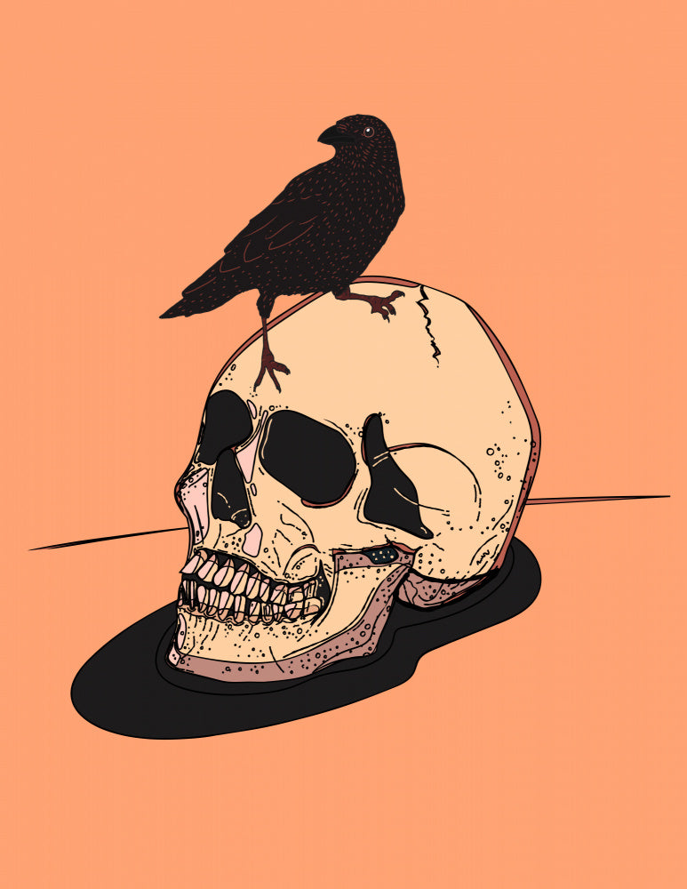 Raven on Human Skull | Canvas