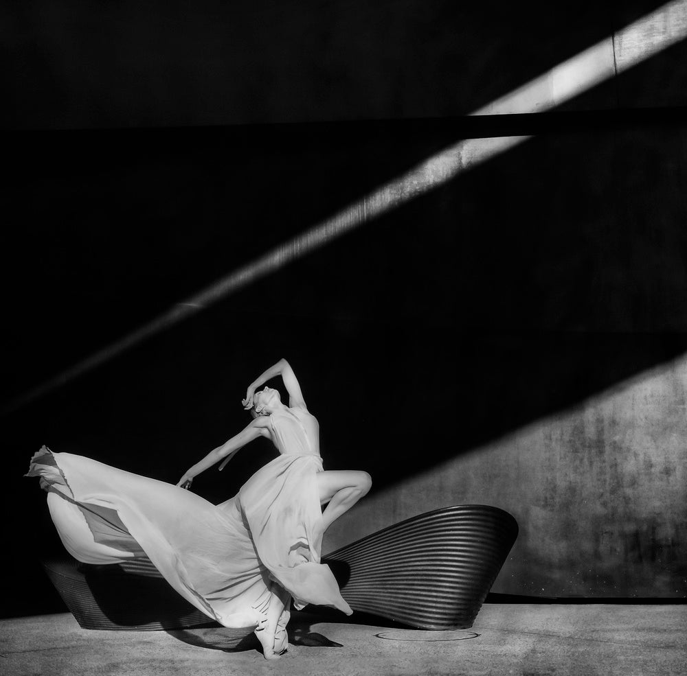 Graceful Shadow Dance | Poster