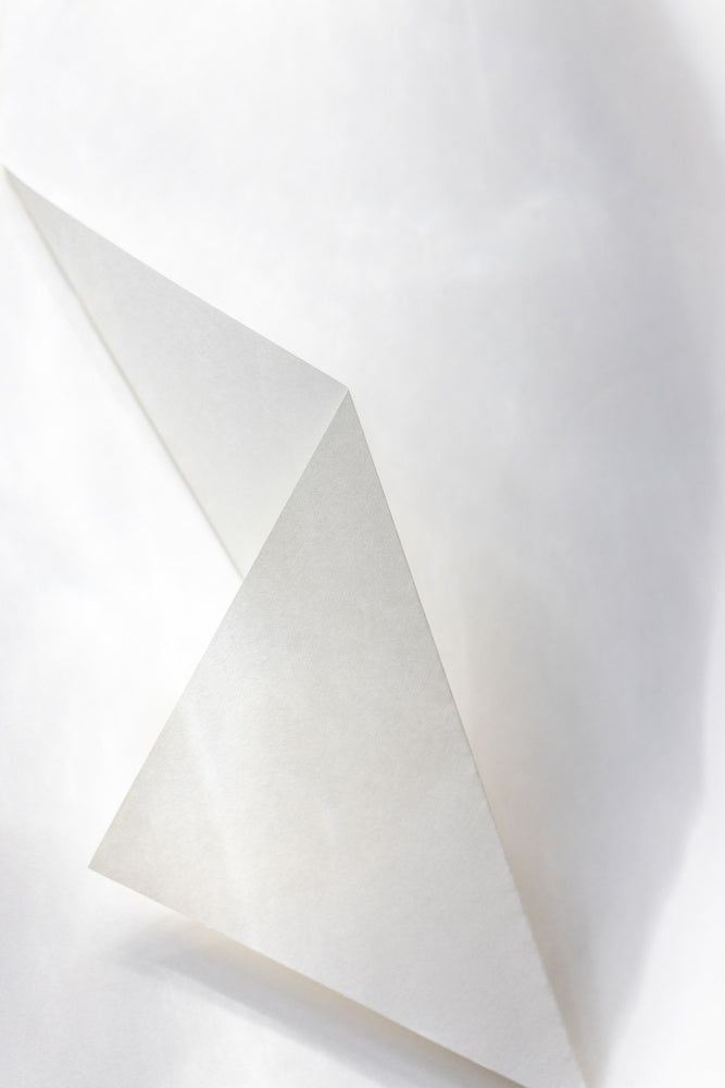 Paper Studies 18 | Canvas