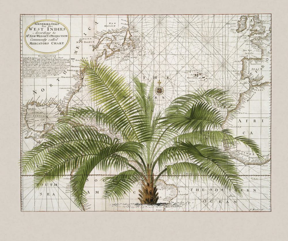Vintage Caribbean Palm Map | Poster