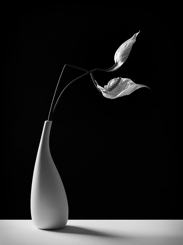 Graceful Peace Lilies Vase | Canvas