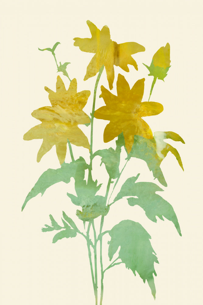 Gentle Yellow Blossoms | Poster