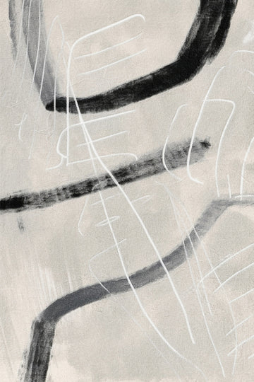 Dynamic Abstract Curves | Poster
