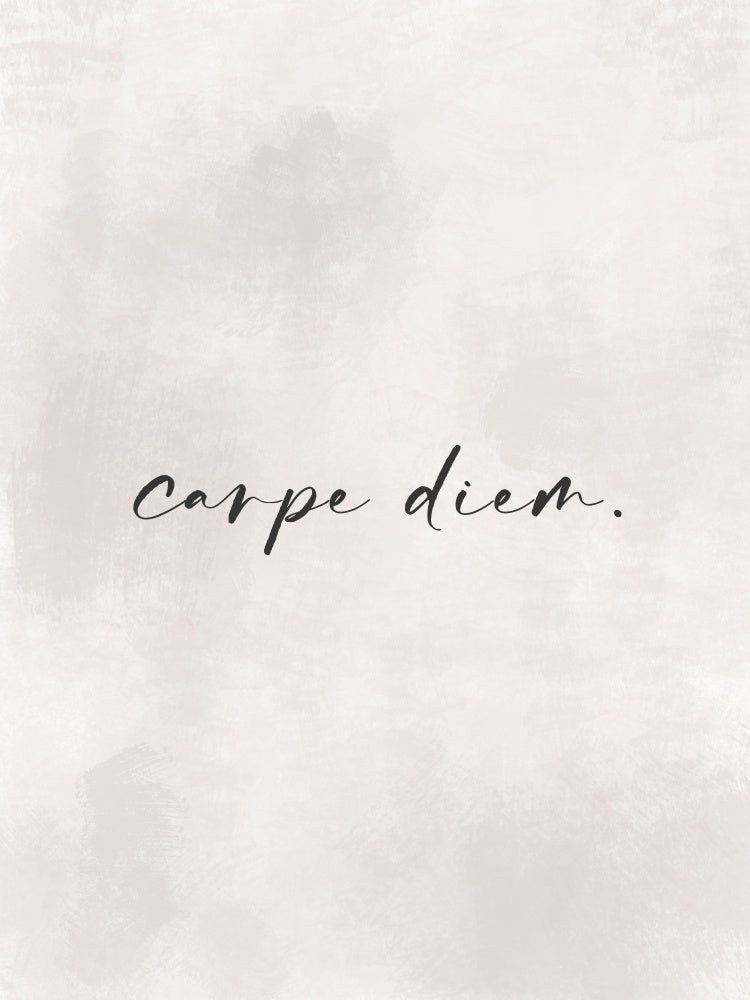 Seize the Moment | Poster