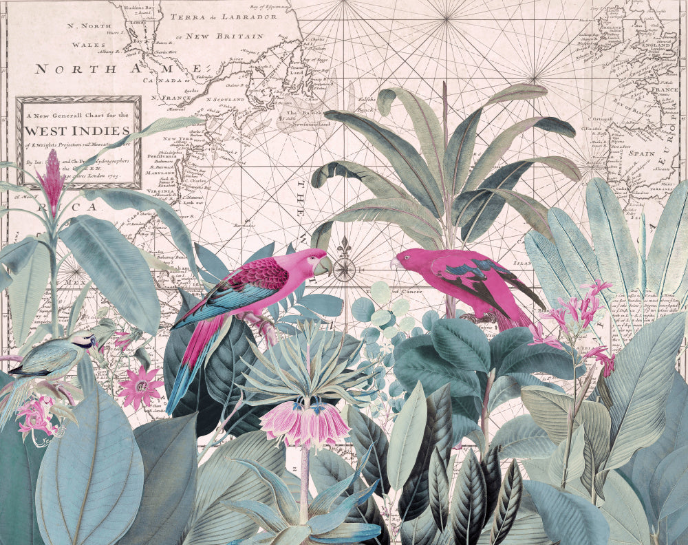 Tropical Map Parrots | Poster