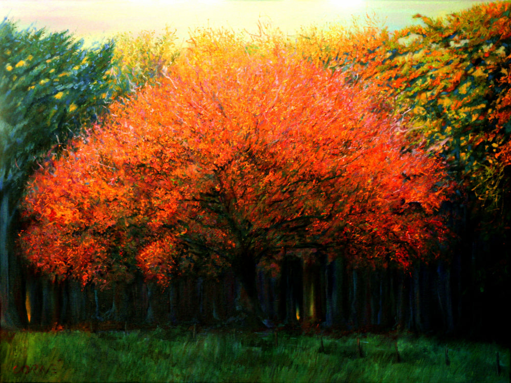 Vibrant Fall Tree | Canvas