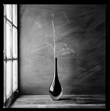 Minimalist Branch Vase | Canvas