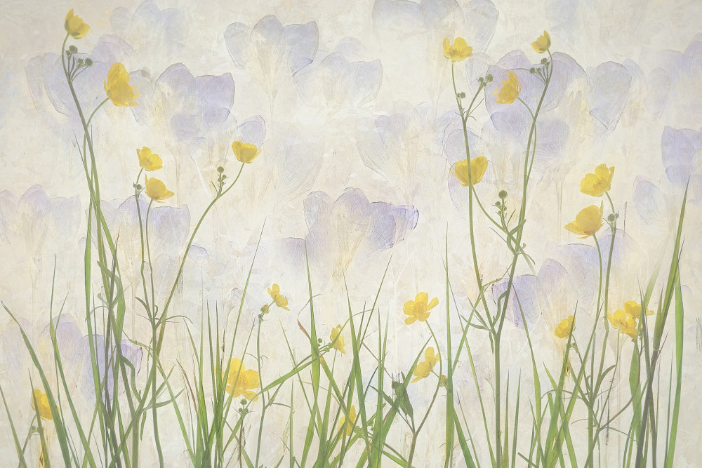 Crocuses bloom | Canvas